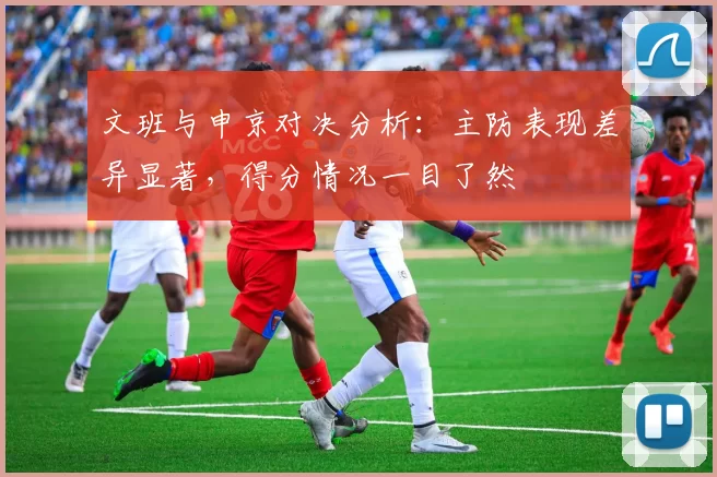 文班与申京对决分析：主防表现差异显著，得分情况一目了然