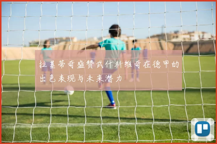 拉基蒂奇盛赞武什科维奇在德甲的出色表现与未来潜力