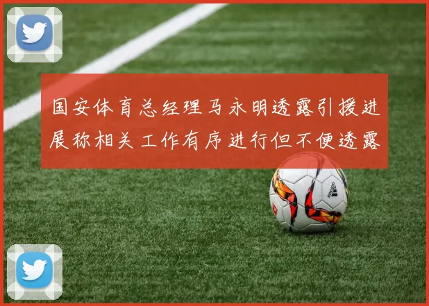 国安体育总经理马永明透露引援进展称相关工作有序进行但不便透露名字