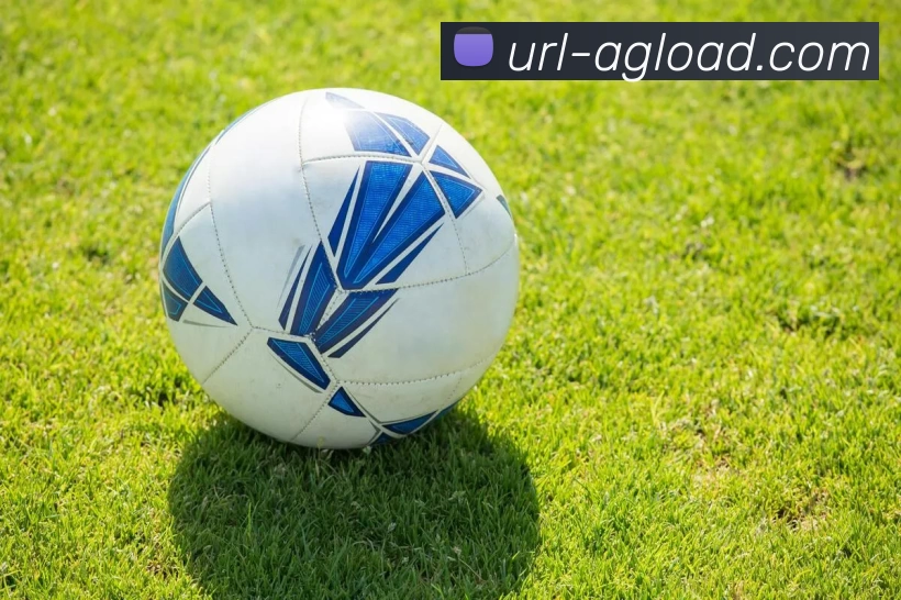 App Interface Preview